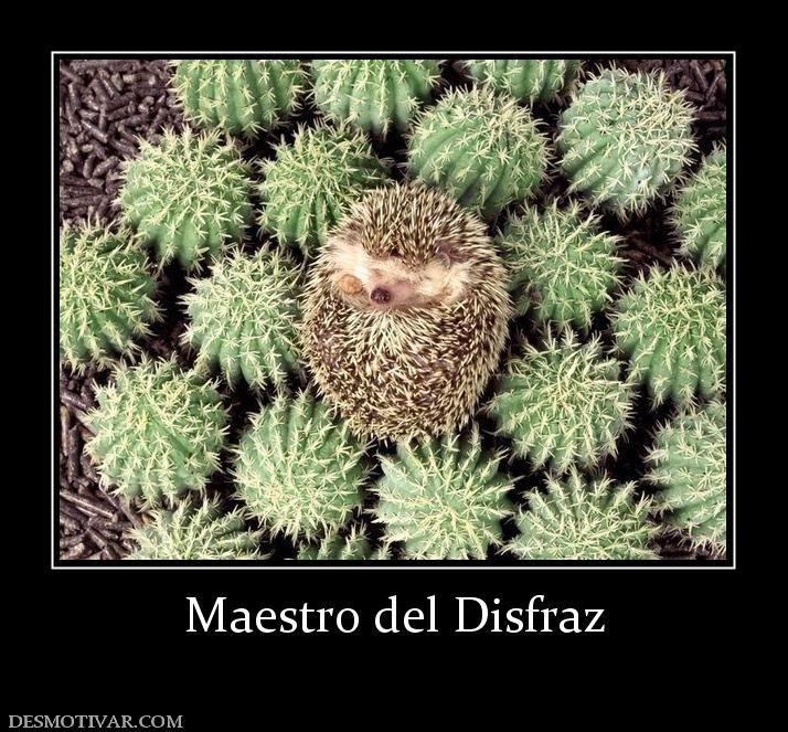 Maestro del Disfraz