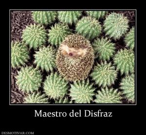 Maestro del Disfraz