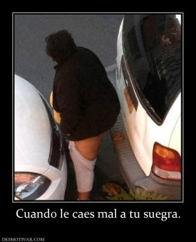 Cuando le caes mal a tu suegra.