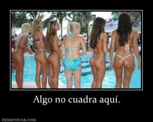 Algo no cuadra aquí.