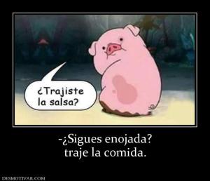 -¿Sigues enojada? traje la comida.