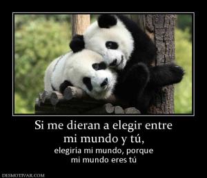 Si me dieran a elegir entre mi mundo y tú,  elegiría mi mundo, porque mi mundo eres tú