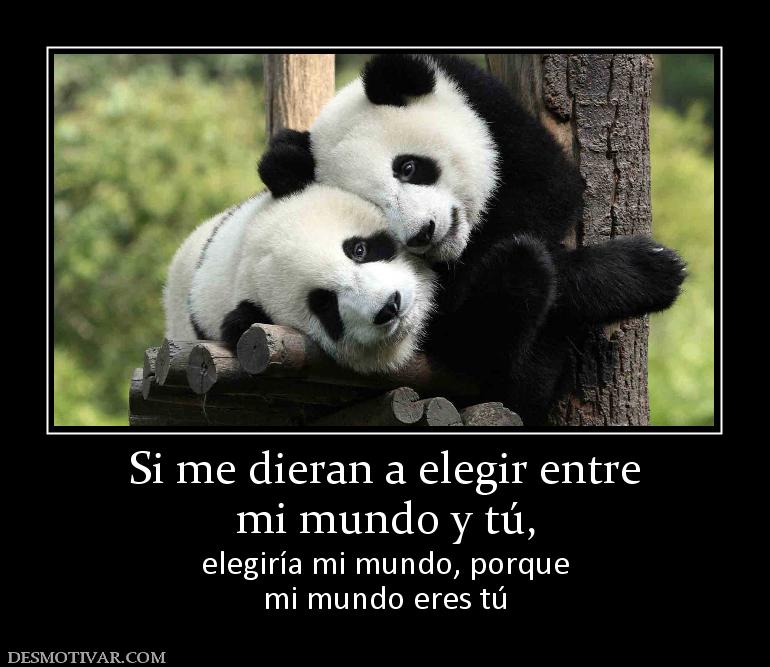 Si me dieran a elegir entre mi mundo y tú,  elegiría mi mundo, porque mi mundo eres tú