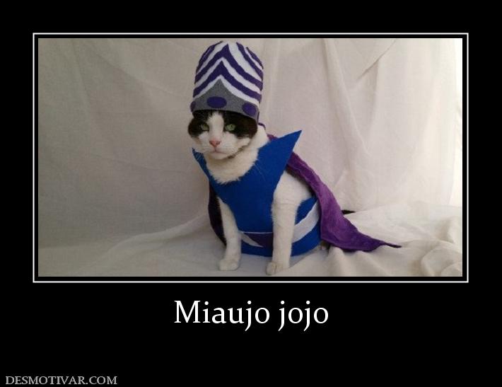 Miaujo jojo