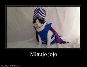 Miaujo jojo