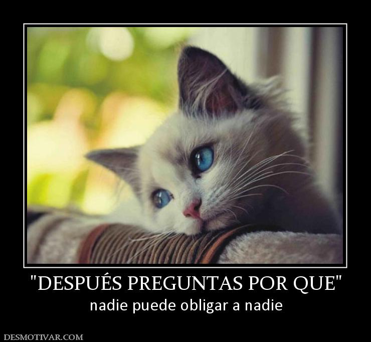 nadie puede obligar a nadie