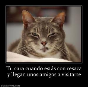 Tu cara cuando estás con resaca y llegan unos amigos a visitarte