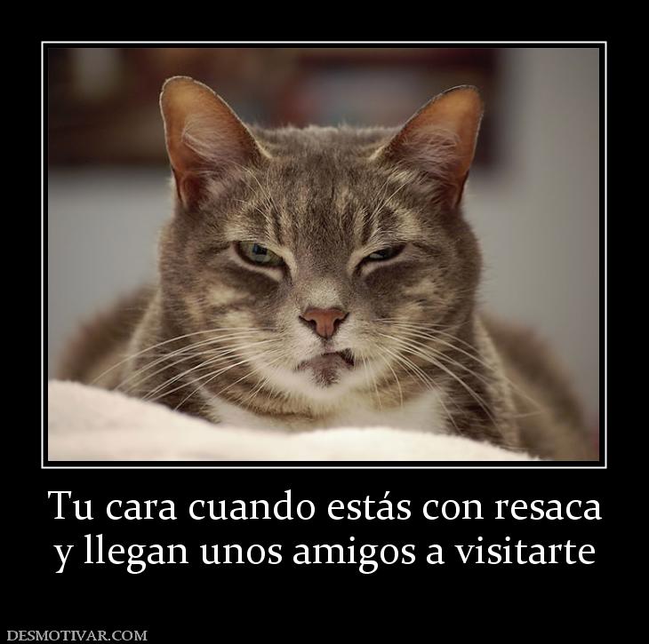 Tu cara cuando estás con resaca y llegan unos amigos a visitarte