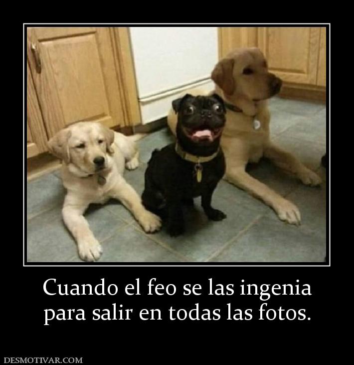 Cuando el feo se las ingenia para salir en todas las fotos.