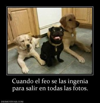 Cuando el feo se las ingenia para salir en todas las fotos.