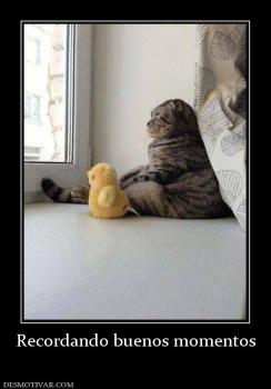 Recordando buenos momentos