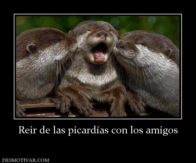 Reir de las picardías con los amigos