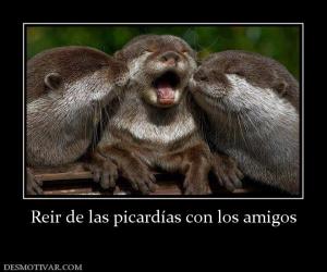 Reir de las picardías con los amigos