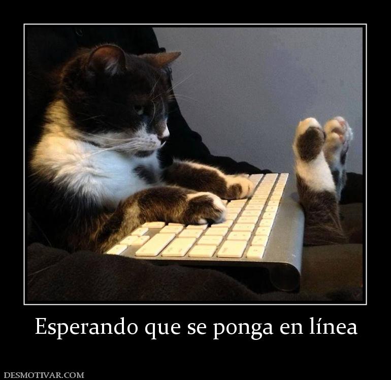 Esperando que se ponga en línea