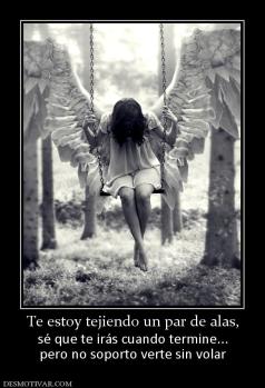 Te estoy tejiendo un par de alas, sé que te irás cuando termine... pero no soporto verte sin volar