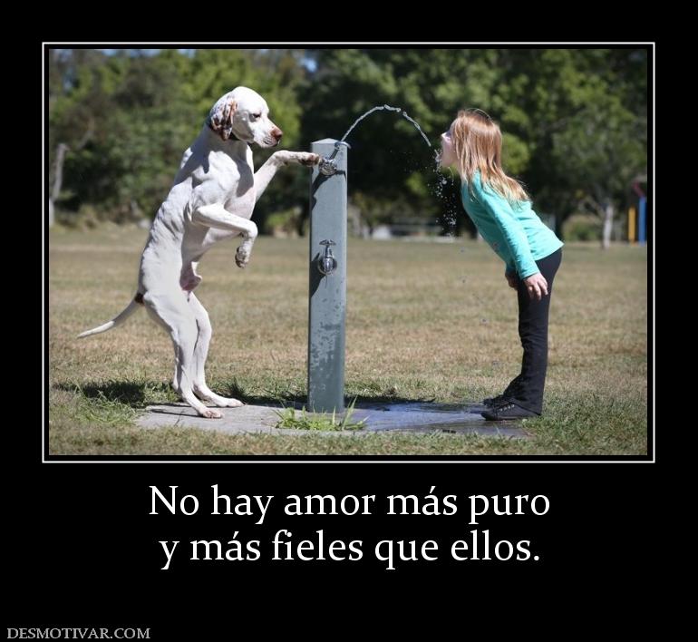 No hay amor más puro y más fieles que ellos.