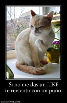 Si no me das un LIKE te reviento con mi puño.