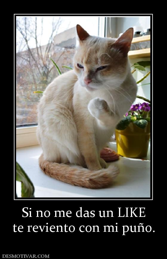 Si no me das un LIKE te reviento con mi puño.