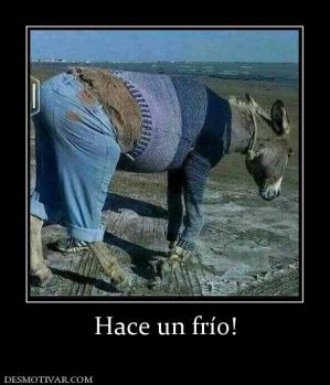 Hace un frío!