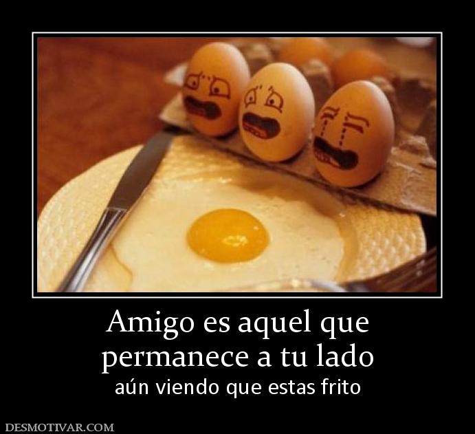Amigo es aquel que permanece a tu lado aún viendo que estas frito