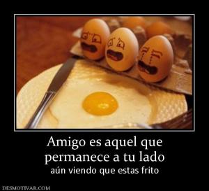 Amigo es aquel que permanece a tu lado aún viendo que estas frito