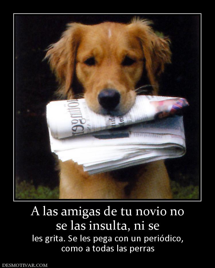 A las amigas de tu novio no se las insulta, ni se les grita. Se les pega con un periódico, como a todas las perras
