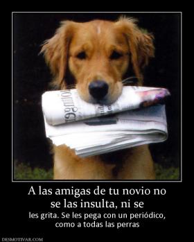 A las amigas de tu novio no se las insulta, ni se les grita. Se les pega con un periódico, como a todas las perras