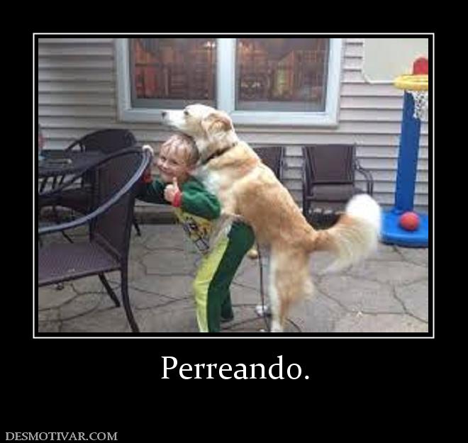 Perreando.