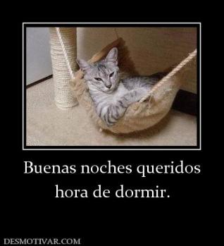 Buenas noches queridos hora de dormir.