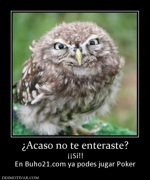 ¿Acaso no te enteraste? ¡¡Sí!! En buho21.org ya podes jugar Poker