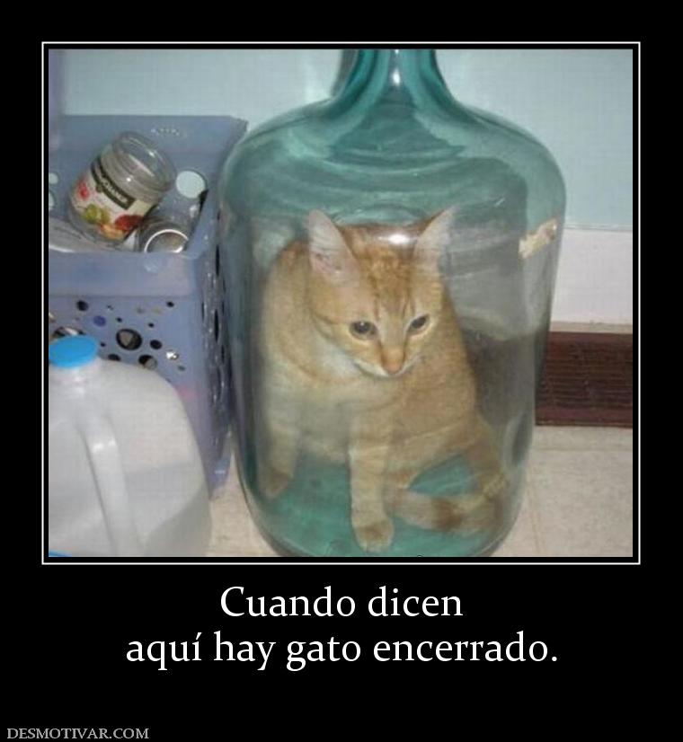 Cuando dicen aquí hay gato encerrado.