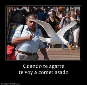 Cuando te agarre te voy a comer asado