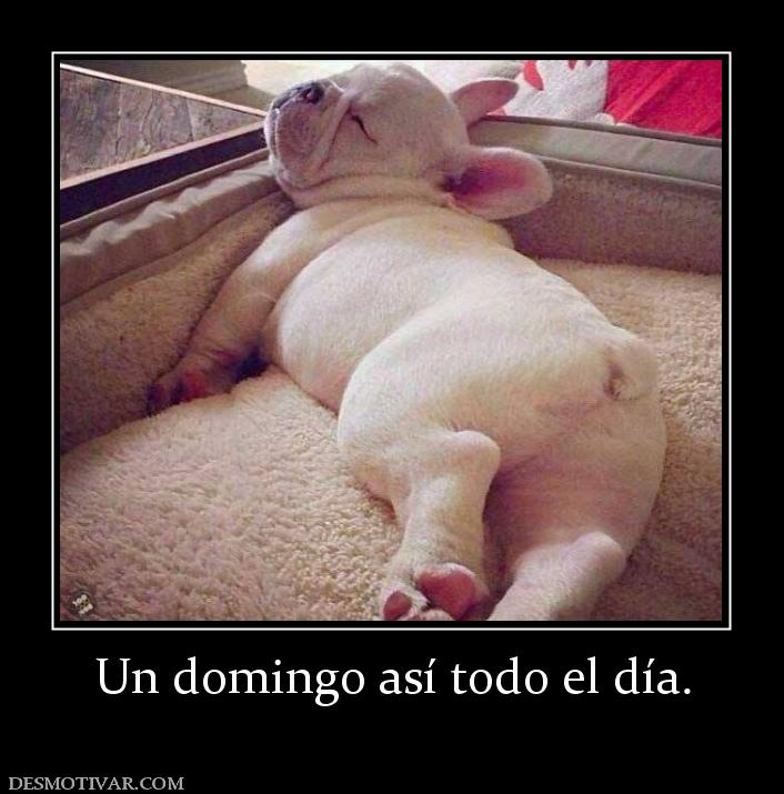 Un domingo así todo el día.