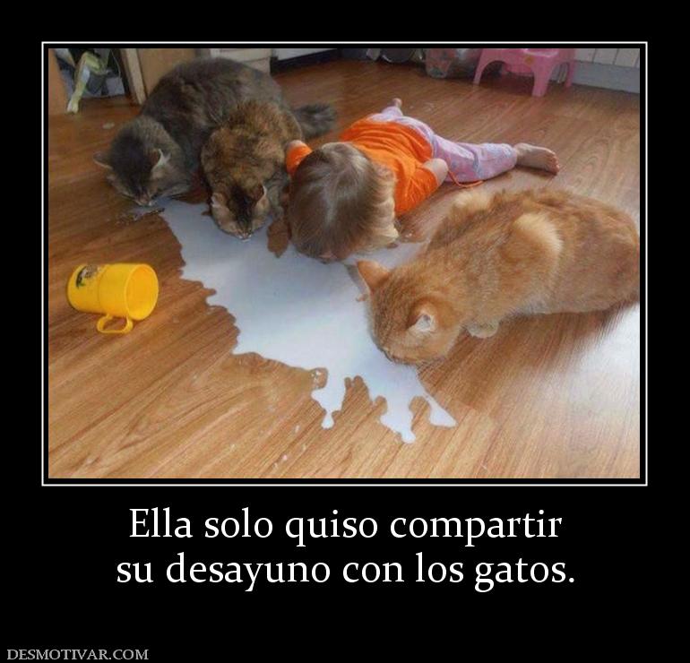 Ella solo quiso compartir su desayuno con los gatos.