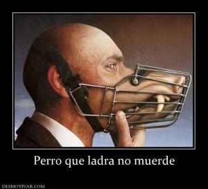 Perro que ladra no muerde