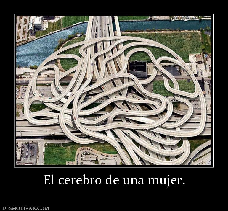 El cerebro de una mujer.