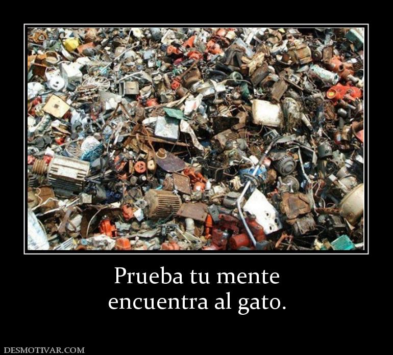 Prueba tu mente encuentra al gato.