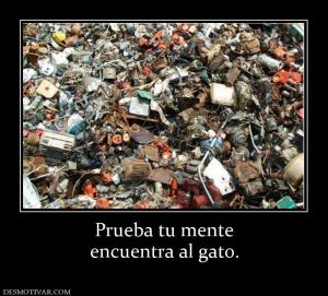 Prueba tu mente encuentra al gato.