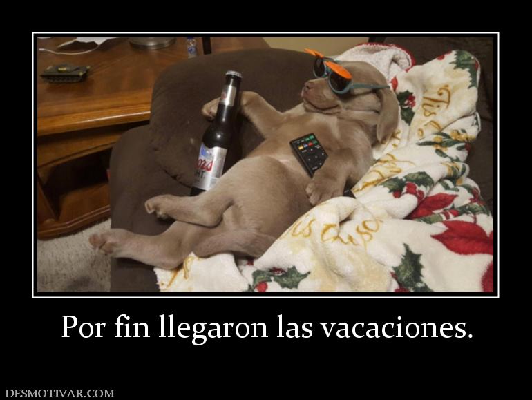Por fin llegaron las vacaciones.