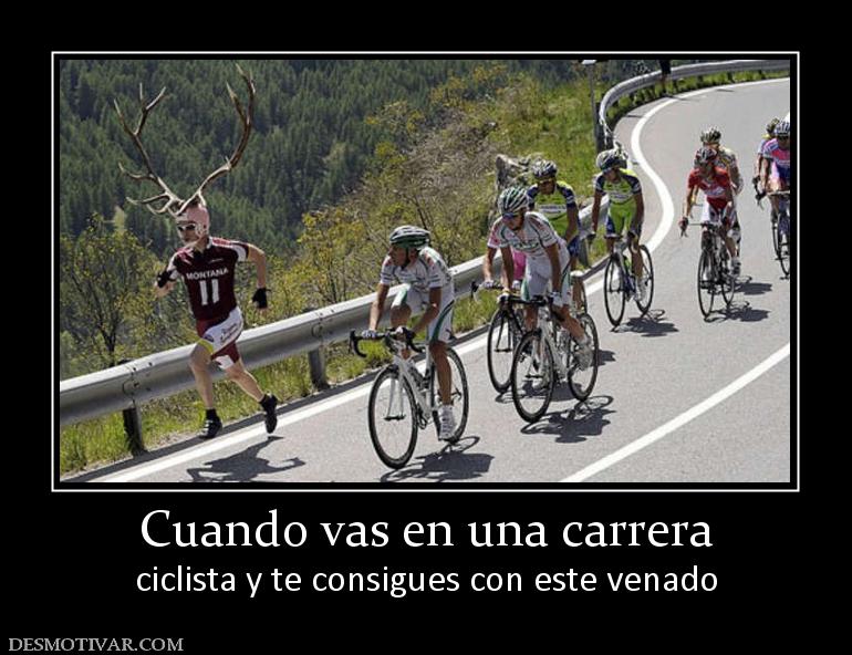Cuando vas en una carrera ciclista y te consigues con este venado