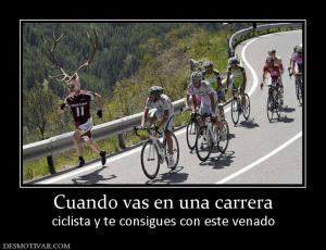 Cuando vas en una carrera ciclista y te consigues con este venado