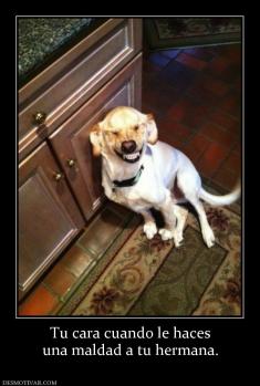 Tu cara cuando le haces una maldad a tu hermana.