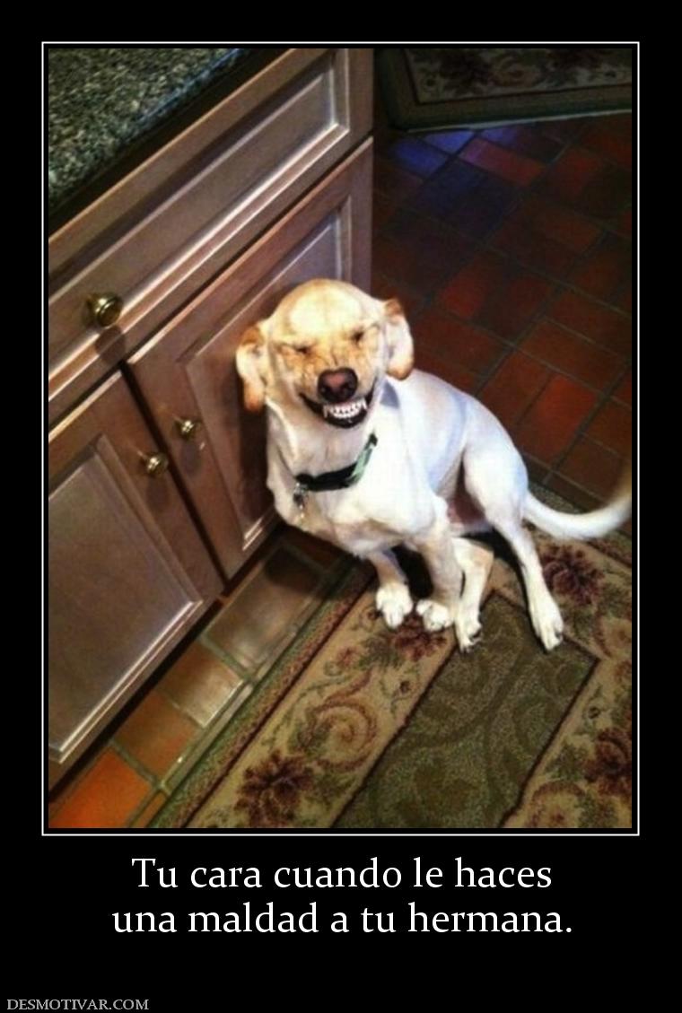 Tu cara cuando le haces una maldad a tu hermana.
