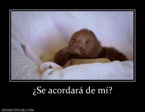 ¿Se acordará de mí?