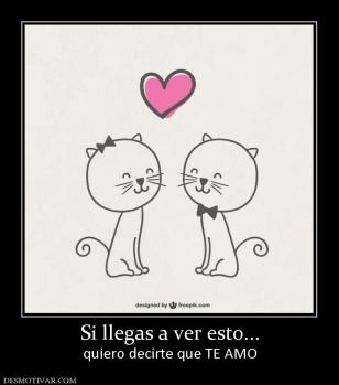 Si llegas a ver esto... quiero decirte que TE AMO