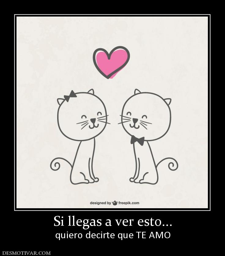 Si llegas a ver esto... quiero decirte que TE AMO