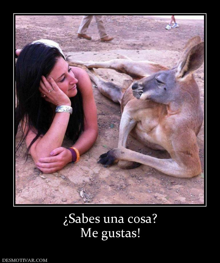 ¿Sabes una cosa? Me gustas!