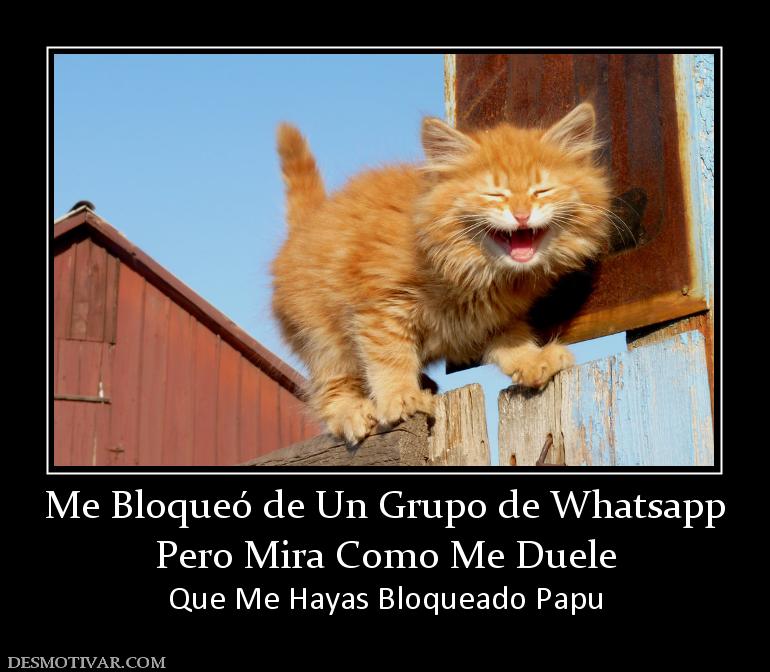 Me Bloqueó de Un Grupo de Whatsapp Pero Mira Como Me Duele  Que Me Hayas Bloqueado Papu