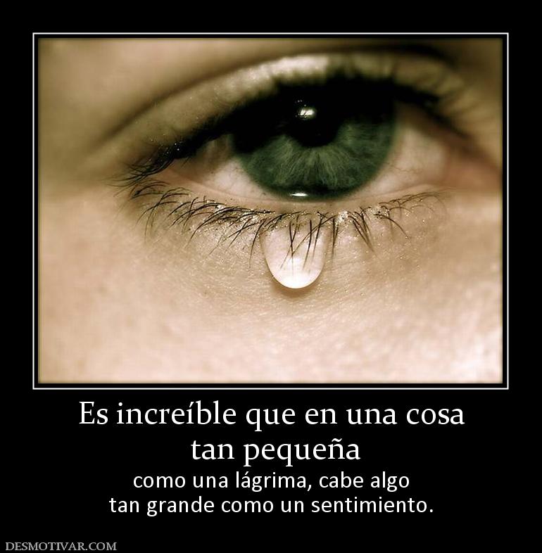 Es increíble que en una cosa  tan pequeña  como una lágrima, cabe algo tan grande como un sentimiento.