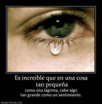 Es increíble que en una cosa  tan pequeña  como una lágrima, cabe algo tan grande como un sentimiento.